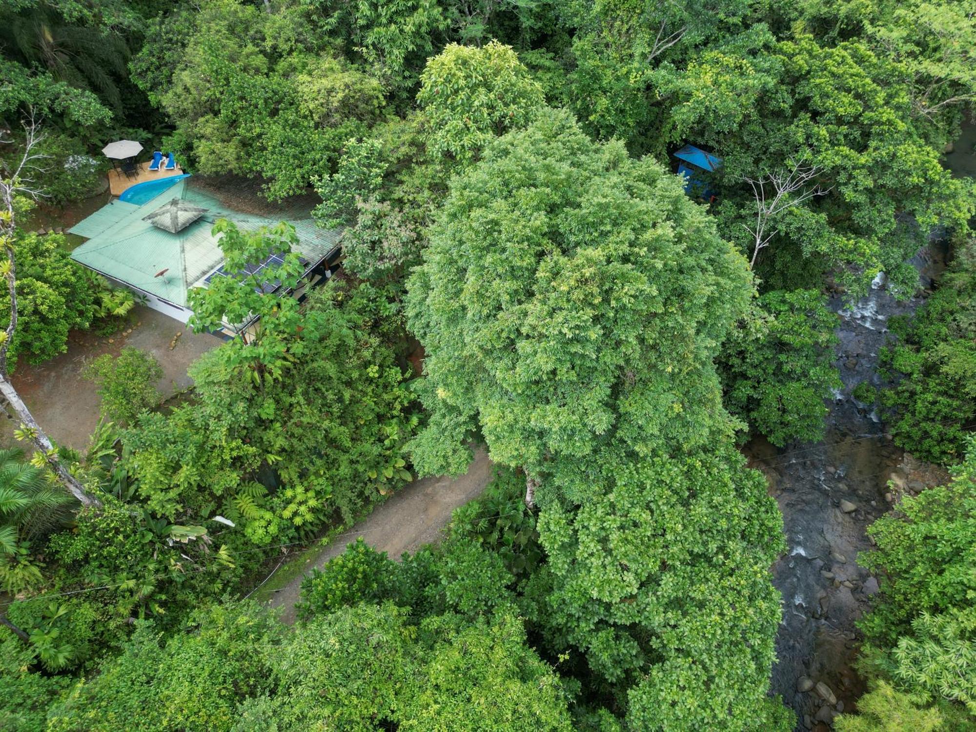 Casa Cedro - Portasol Vacation Rentals Matapalo  Extérieur photo