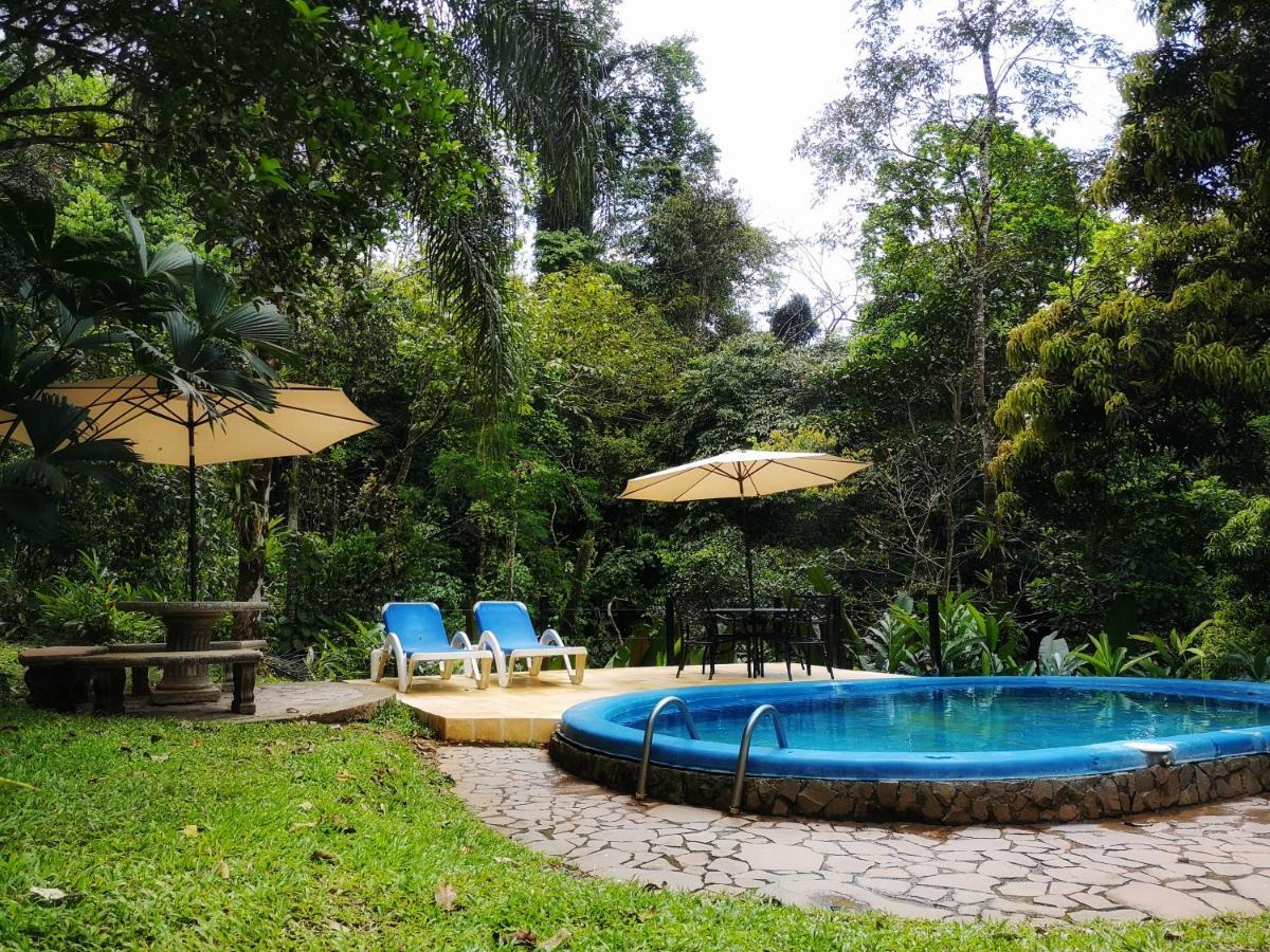 Casa Cedro - Portasol Vacation Rentals Matapalo  Extérieur photo